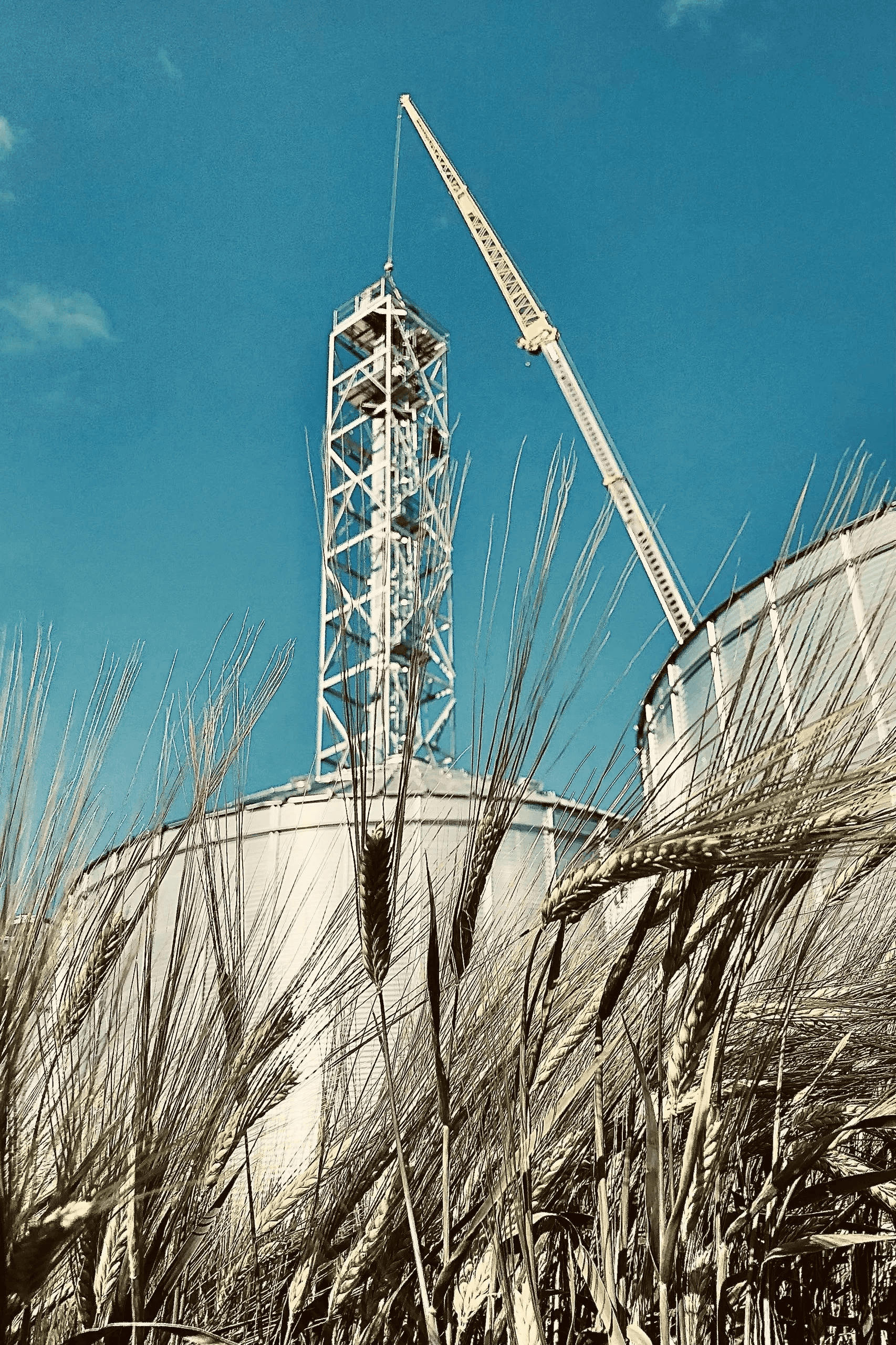 Barley in the foreground with a crane setting a galvanized RapiTower between two bins
